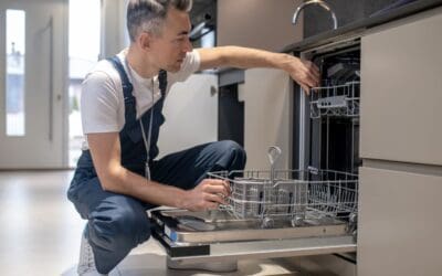Dishwasher Basics: 5 Essential Cleaning &Amp; Maintenance 